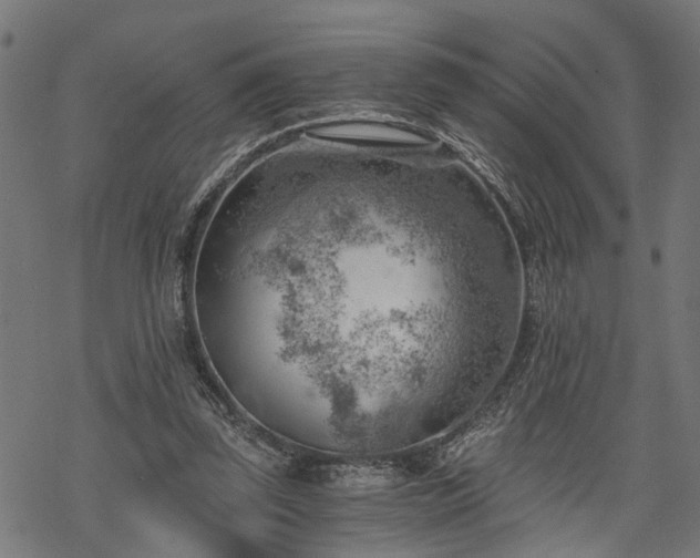 X0000068850347200605081220