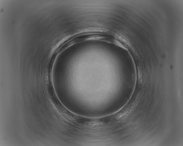 X0000068850348200605081220