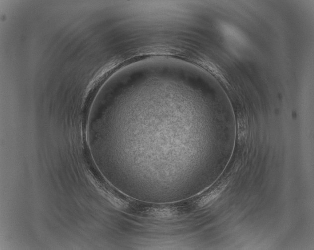 X0000068850349200605081220