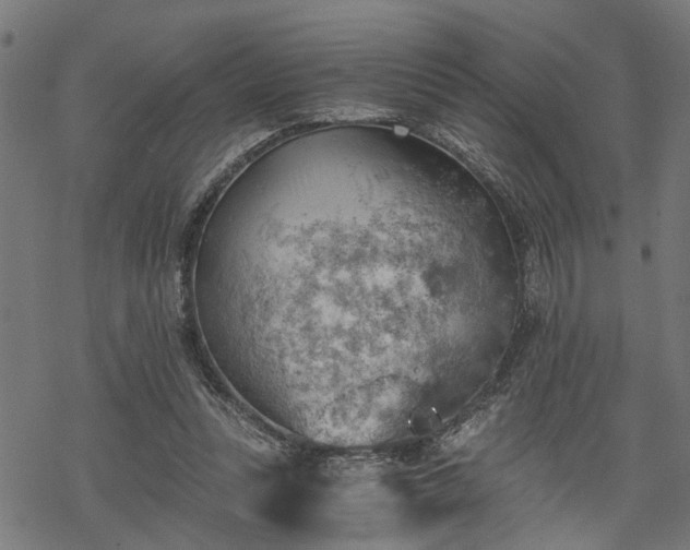 X0000068850351200605081220