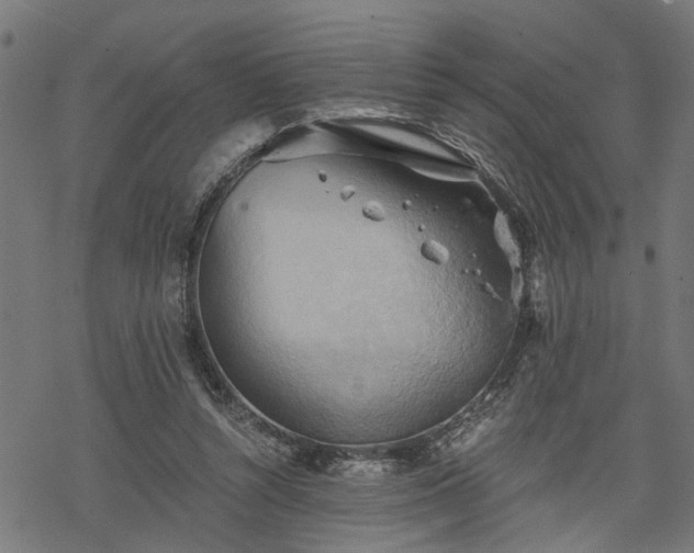 X0000068850352200605081220