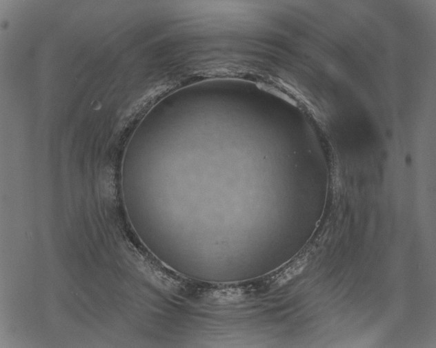 X0000068850353200605081220