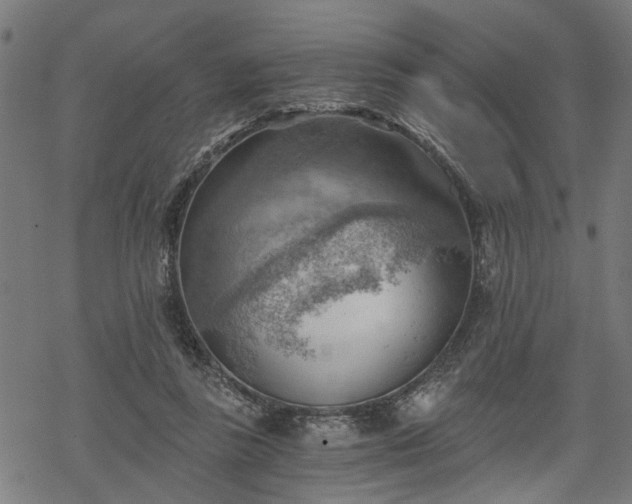 X0000068850355200605081221