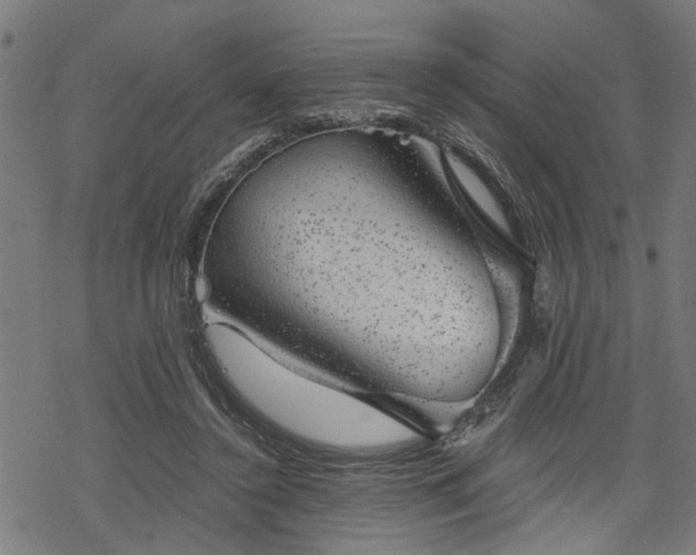 X0000068850356200605081221