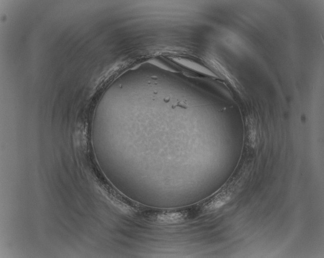 X0000068850357200605081221