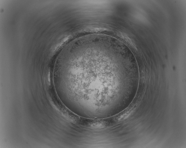 X0000068850358200605081221