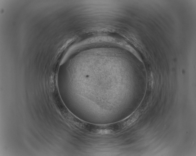 X0000068850360200605081221