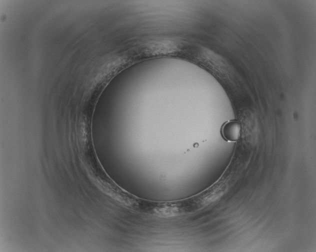 X0000068850362200605081221