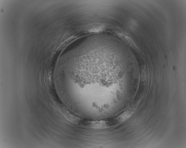 X0000068850363200605081221