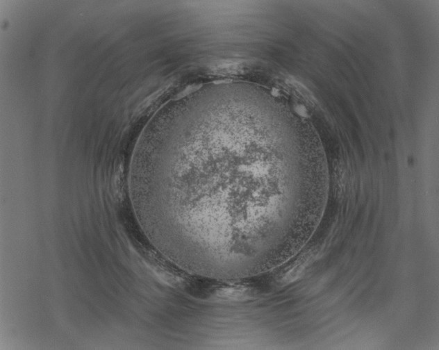 X0000068850364200605081221