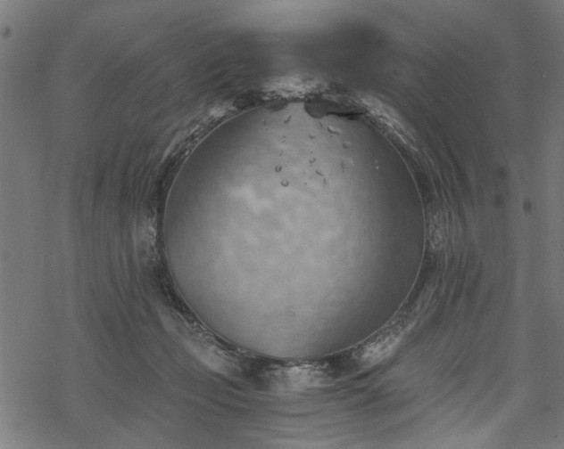 X0000068850365200605081221