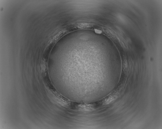 X0000068850367200605081221