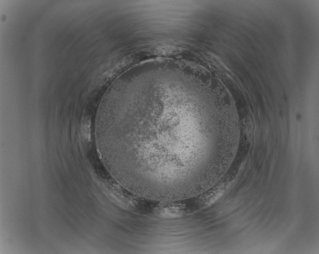 X0000068850368200605081221