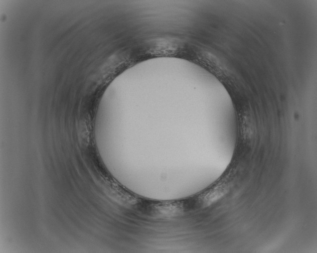 X0000068850370200605081221