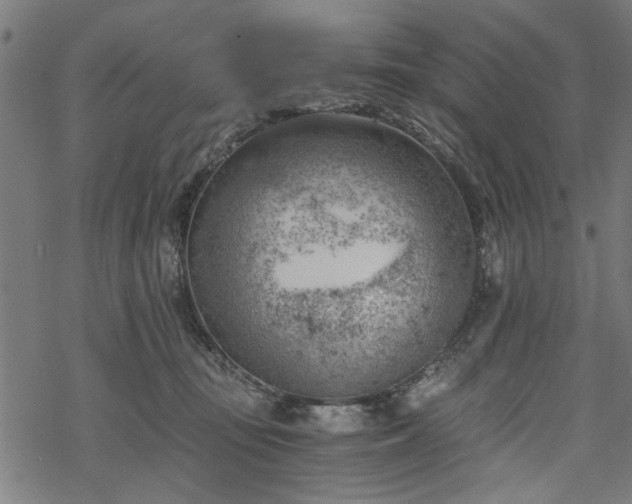 X0000068850371200605081221