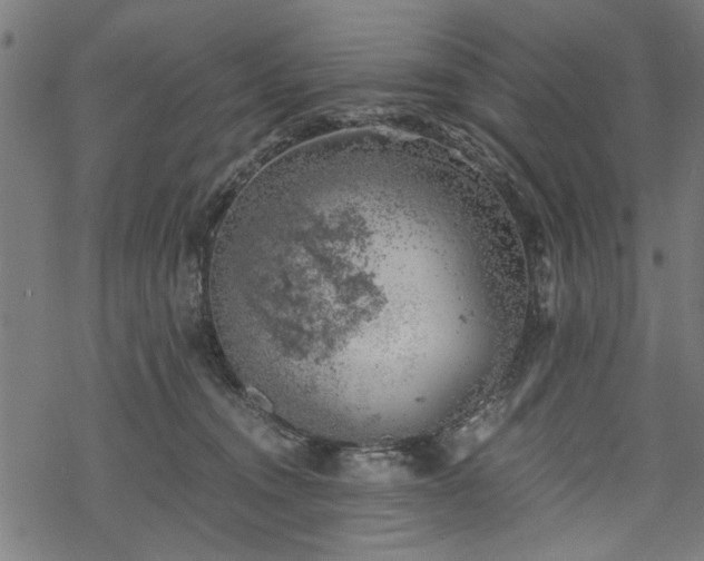 X0000068850372200605081221