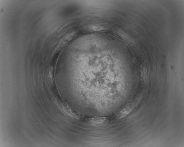 X0000068850373200605081221