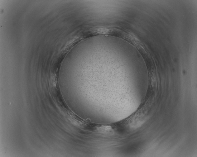 X0000068850374200605081221