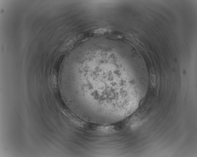 X0000068850375200605081221