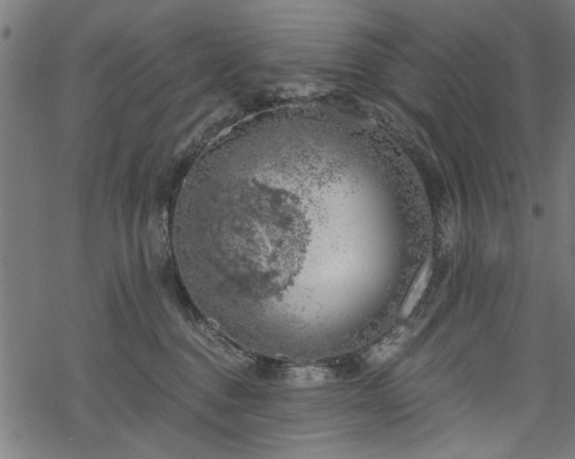 X0000068850376200605081221