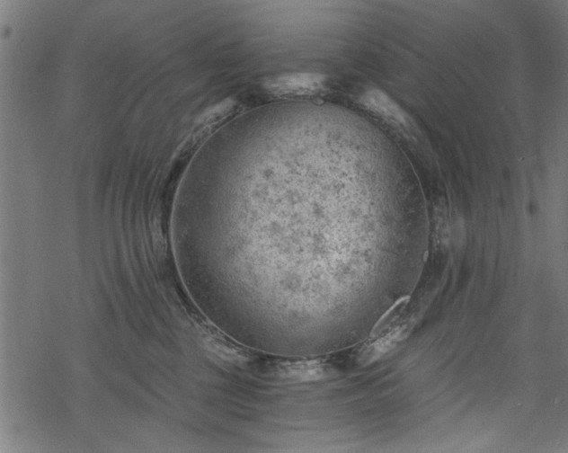 X0000068850377200605081221