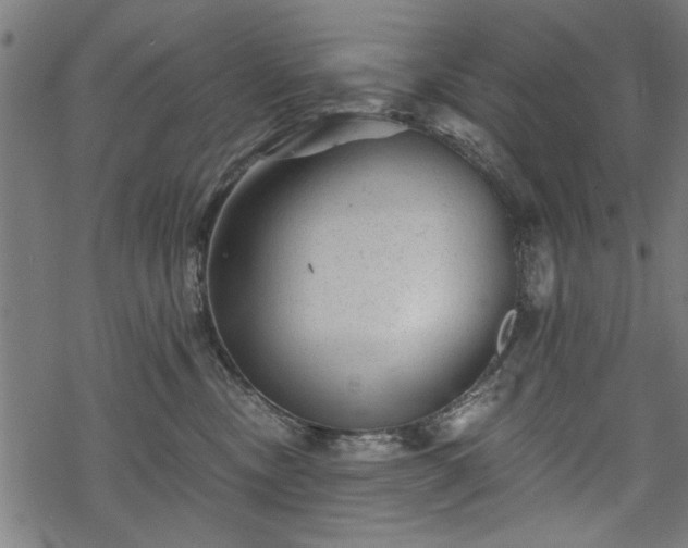 X0000068850378200605081221