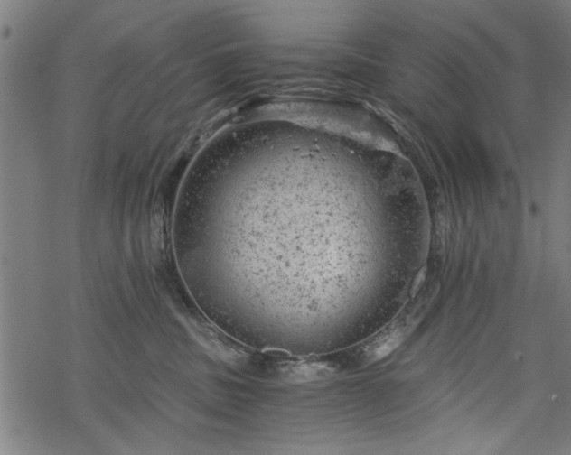 X0000068850379200605081221