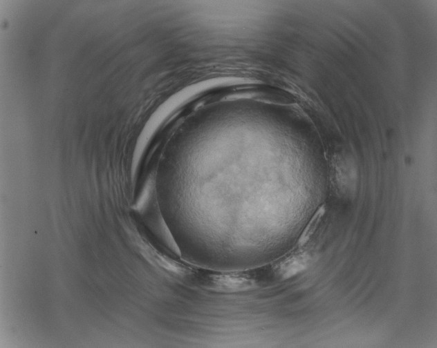 X0000068850380200605081221