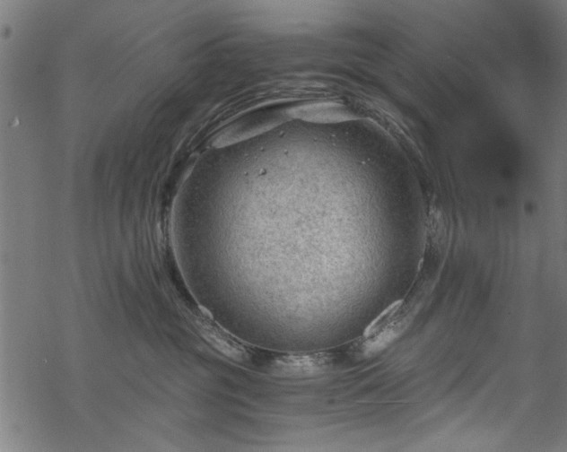 X0000068850381200605081221