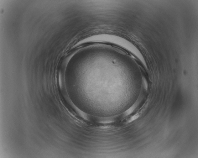 X0000068850382200605081221