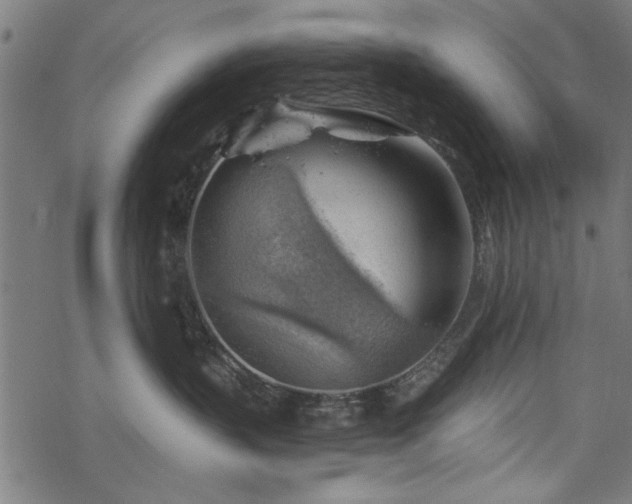 X0000068850383200605081221