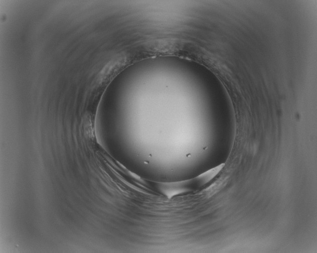 X0000068850384200605081221