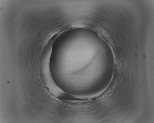 X0000068850385200605081220