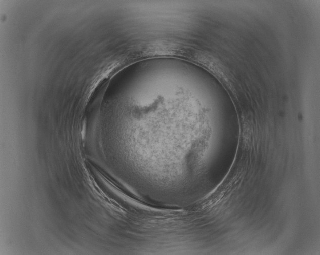 X0000068850386200605081220