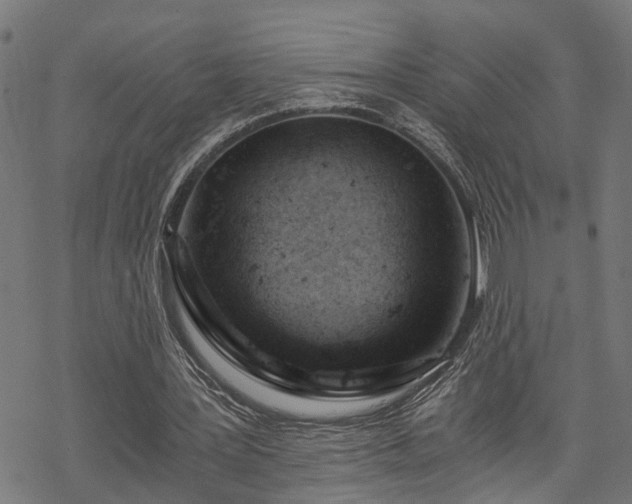 X0000068850387200605081220