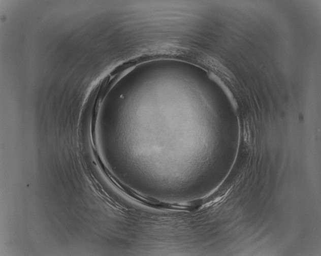 X0000068850388200605081220