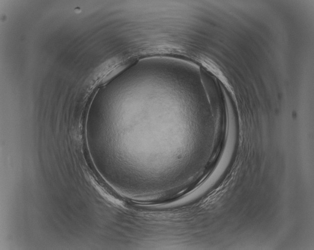 X0000068850389200605081220