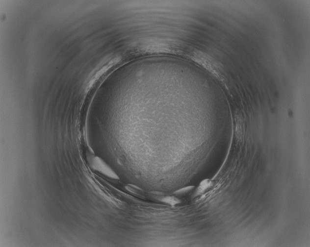 X0000068850390200605081220