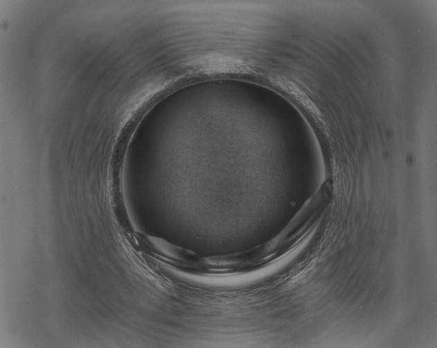 X0000068850391200605081220