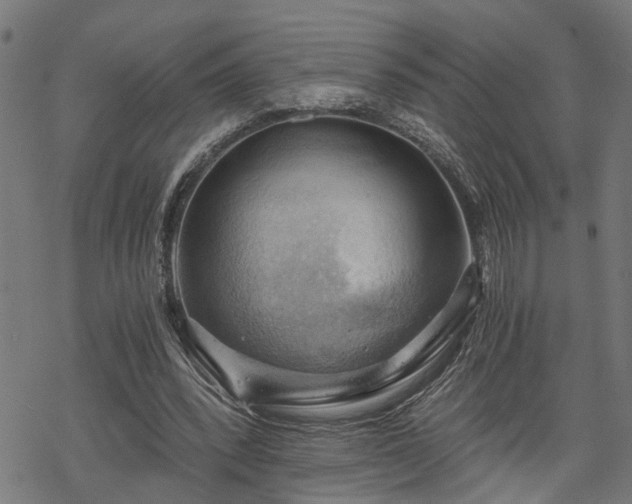 X0000068850392200605081220