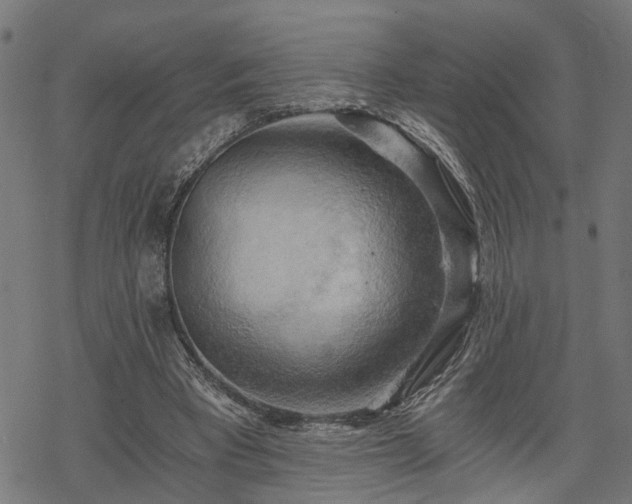 X0000068850393200605081220