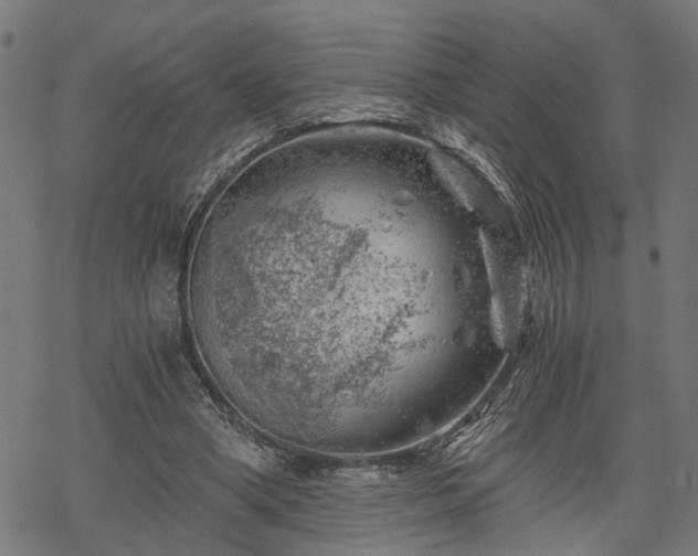 X0000068850394200605081220