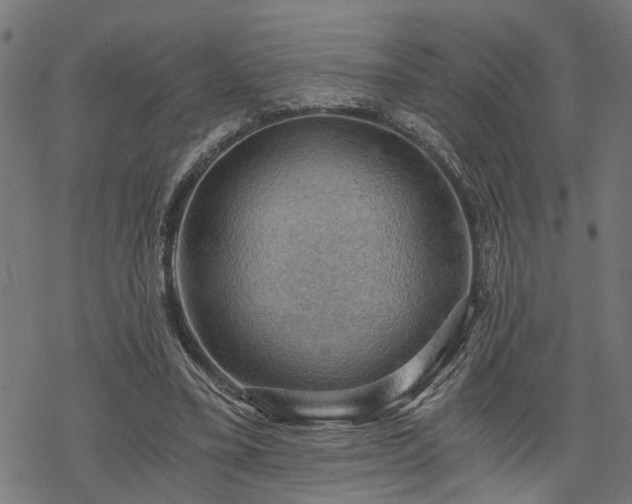 X0000068850395200605081220