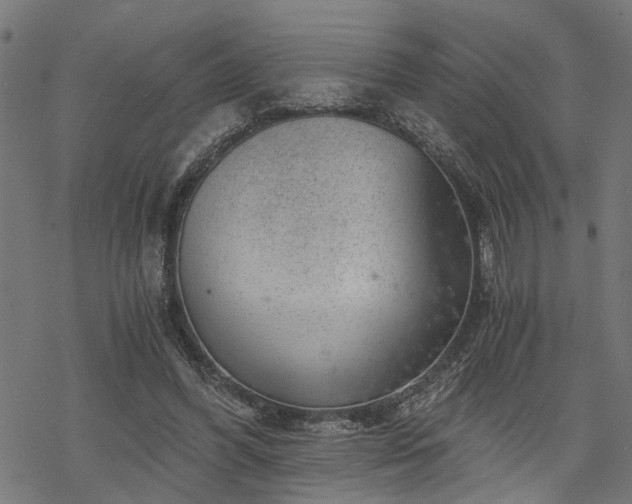 X0000068850396200605081220