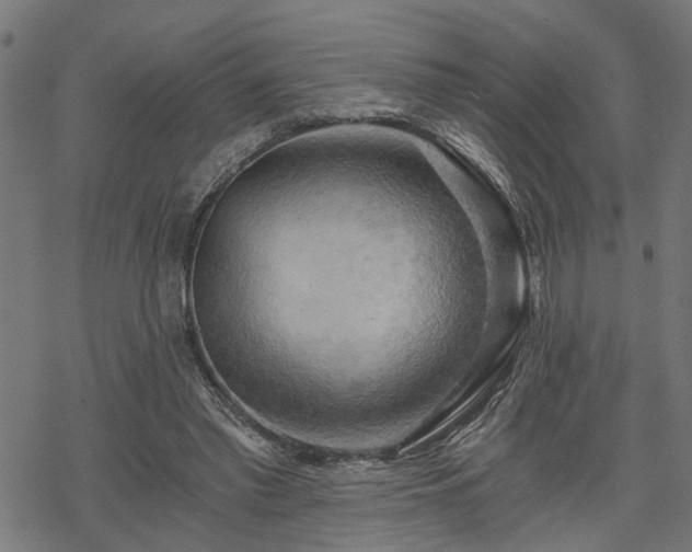 X0000068850397200605081220