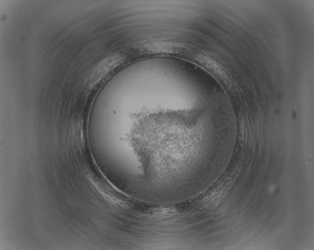 X0000068850398200605081220