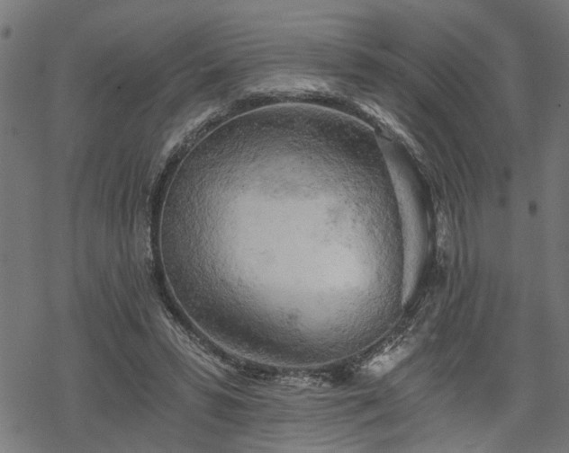 X0000068850399200605081220