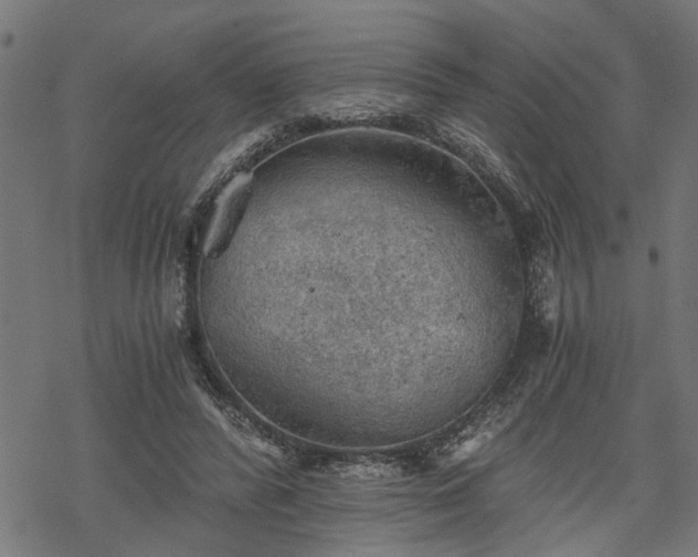 X0000068850400200605081220