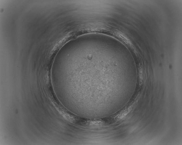 X0000068850401200605081220