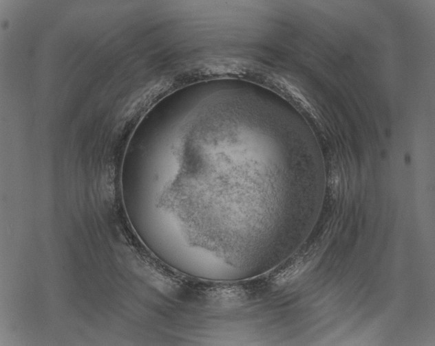 X0000068850402200605081220